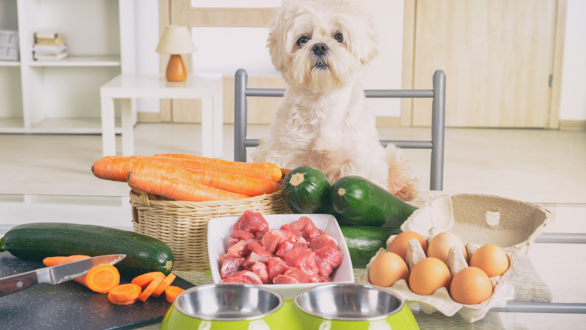 Why Your Pet Loving Their Food Matters